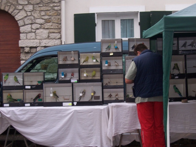 stand AOSM à moret sur loing